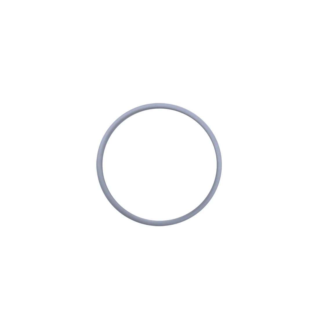 Backup Ring