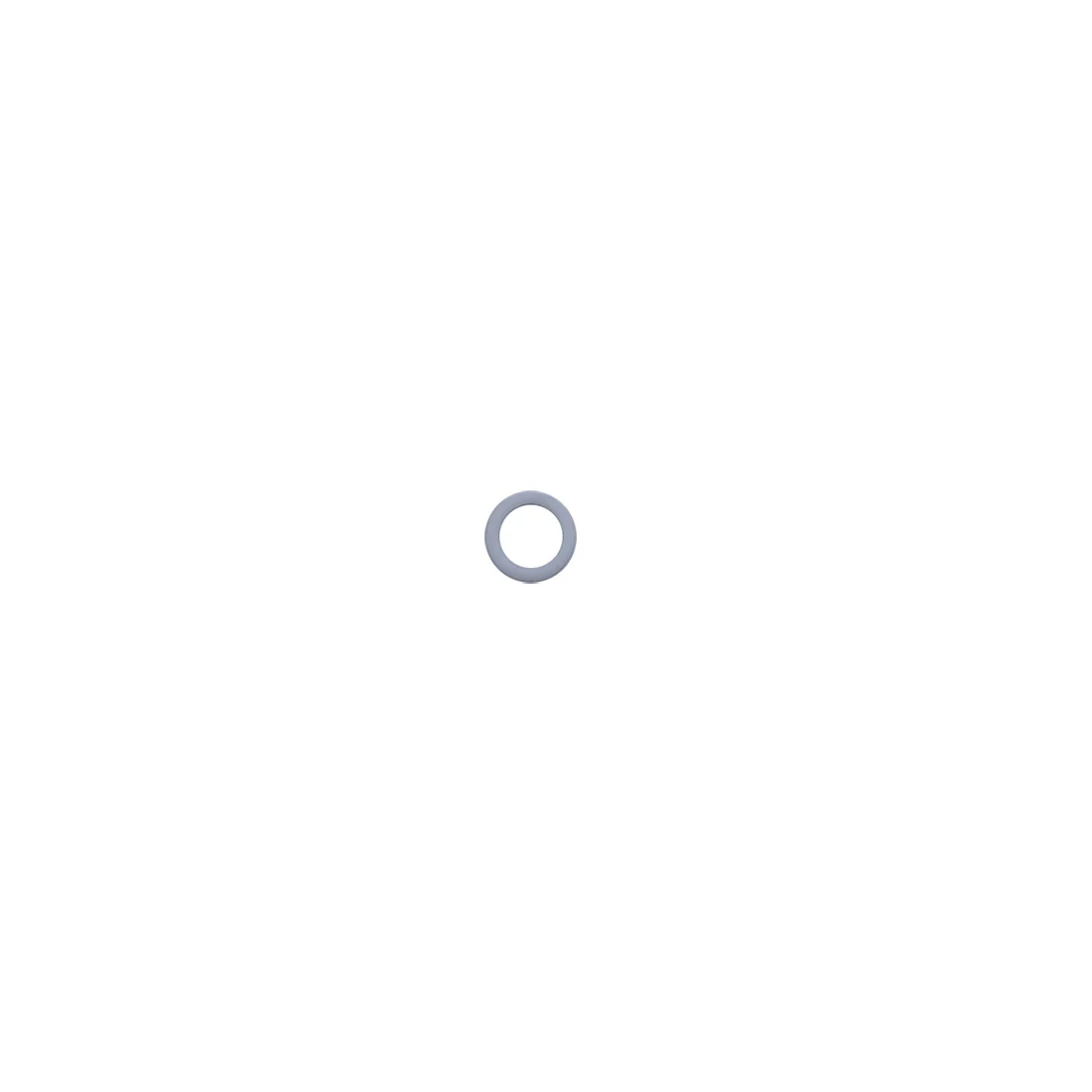 Backup Ring