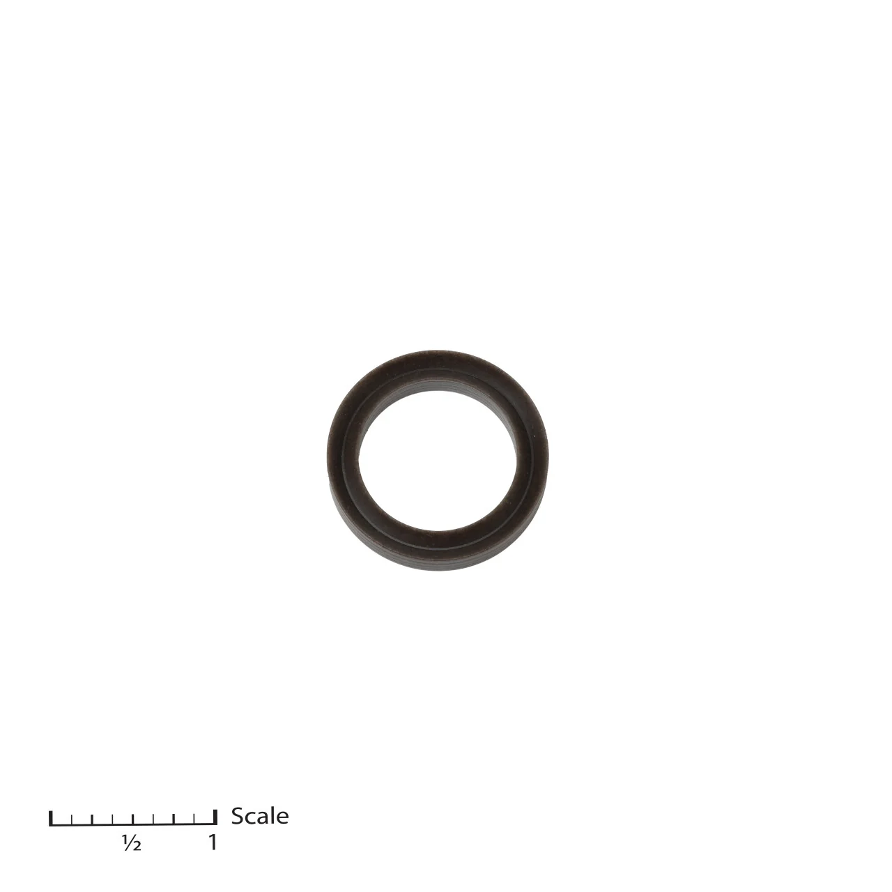 Female Gland