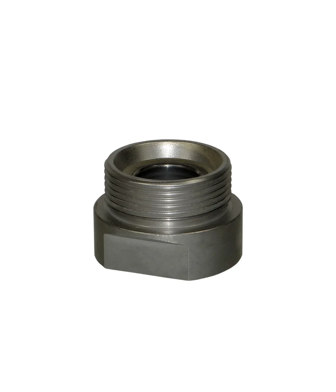 Foot Valve Assembly - 396 Fluid Section