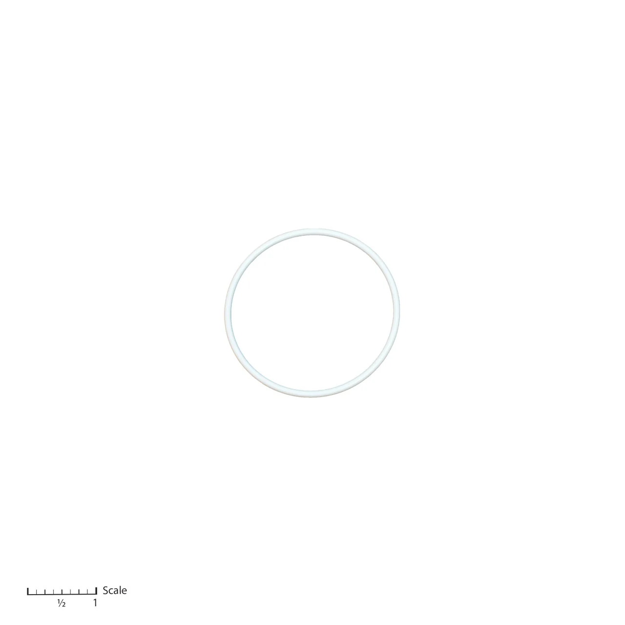 Teflon O-Ring