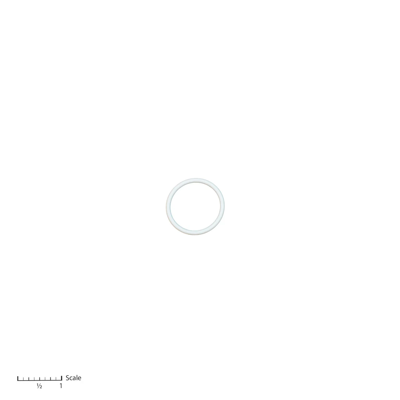 Teflon O-Ring
