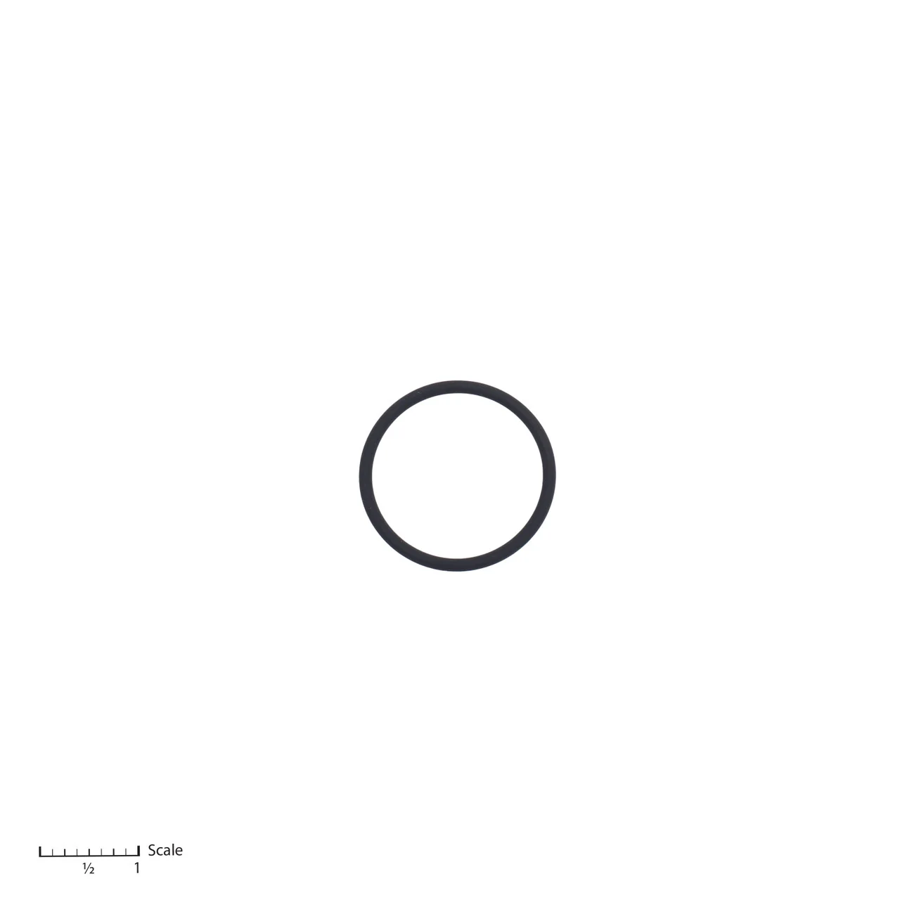 O-Ring