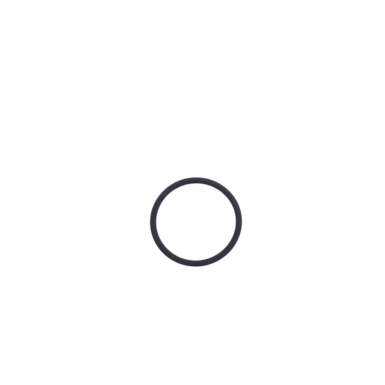 O-Ring - Image 2