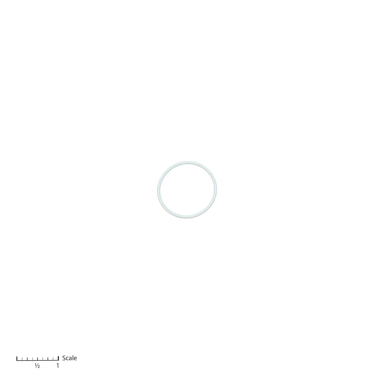Teflon O-Ring