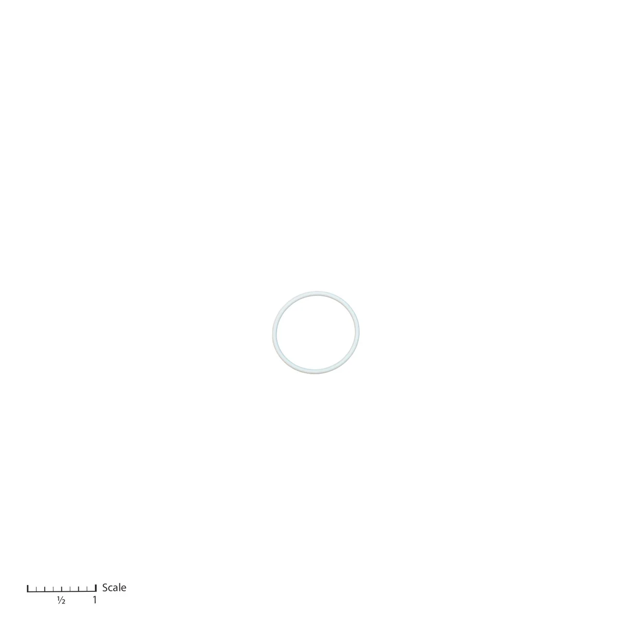 Teflon O-Ring