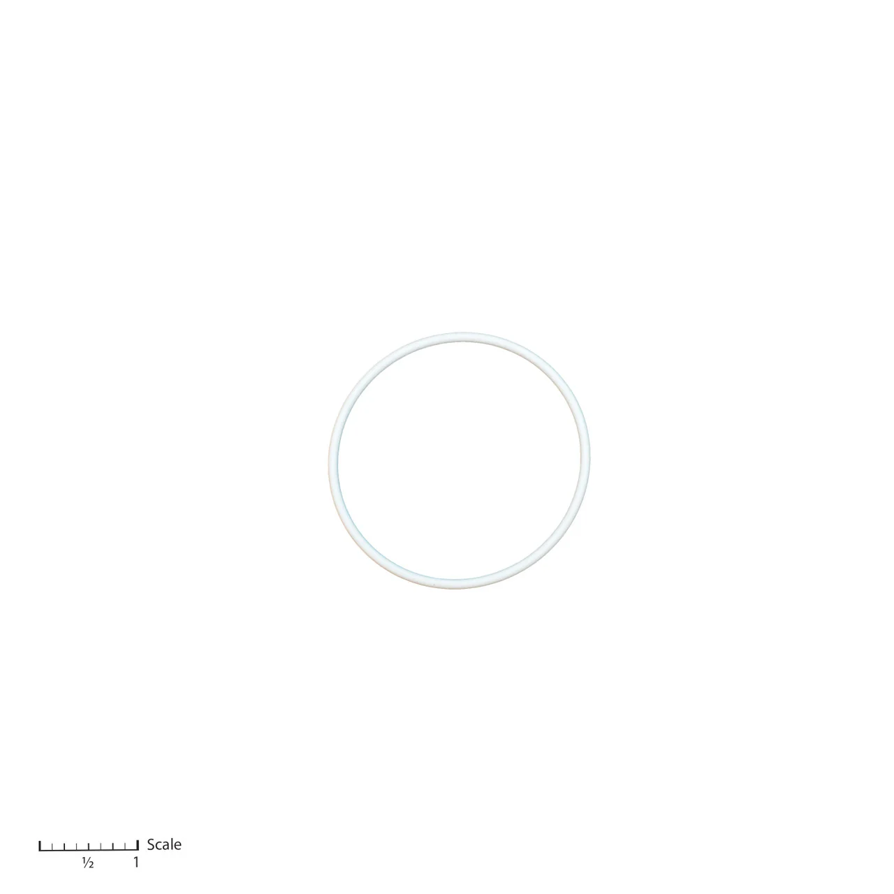 Teflon O-Ring