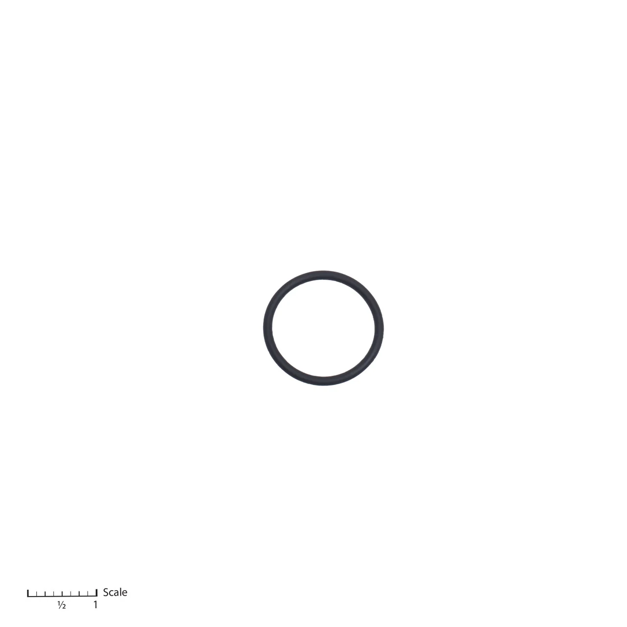 O-Ring