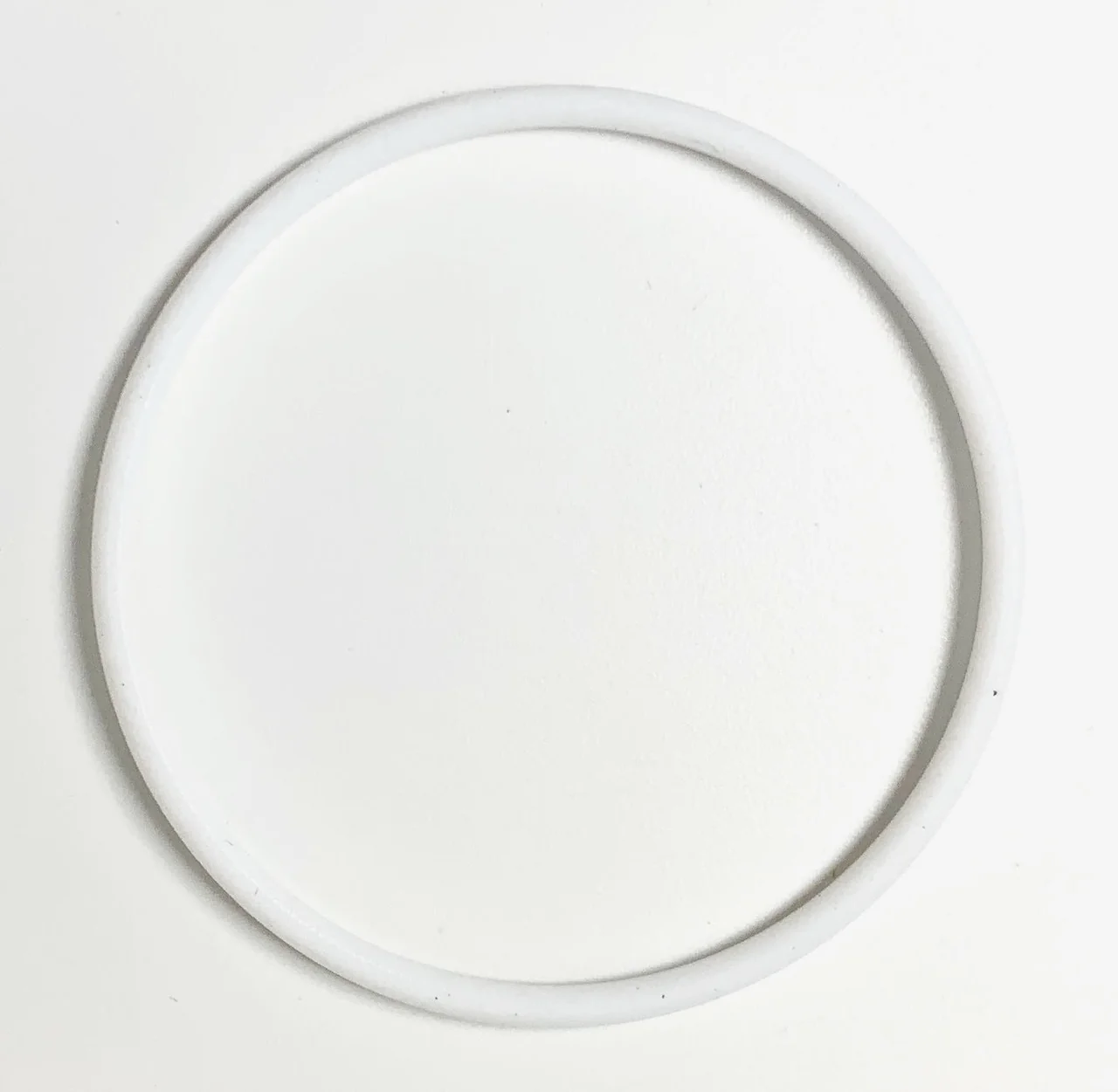 Teflon O-Ring - Image 2