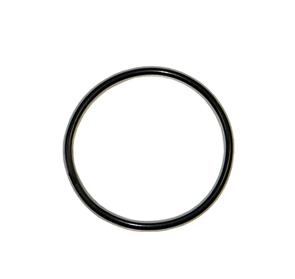 O-Ring, Encapsulated, Outlet Filter