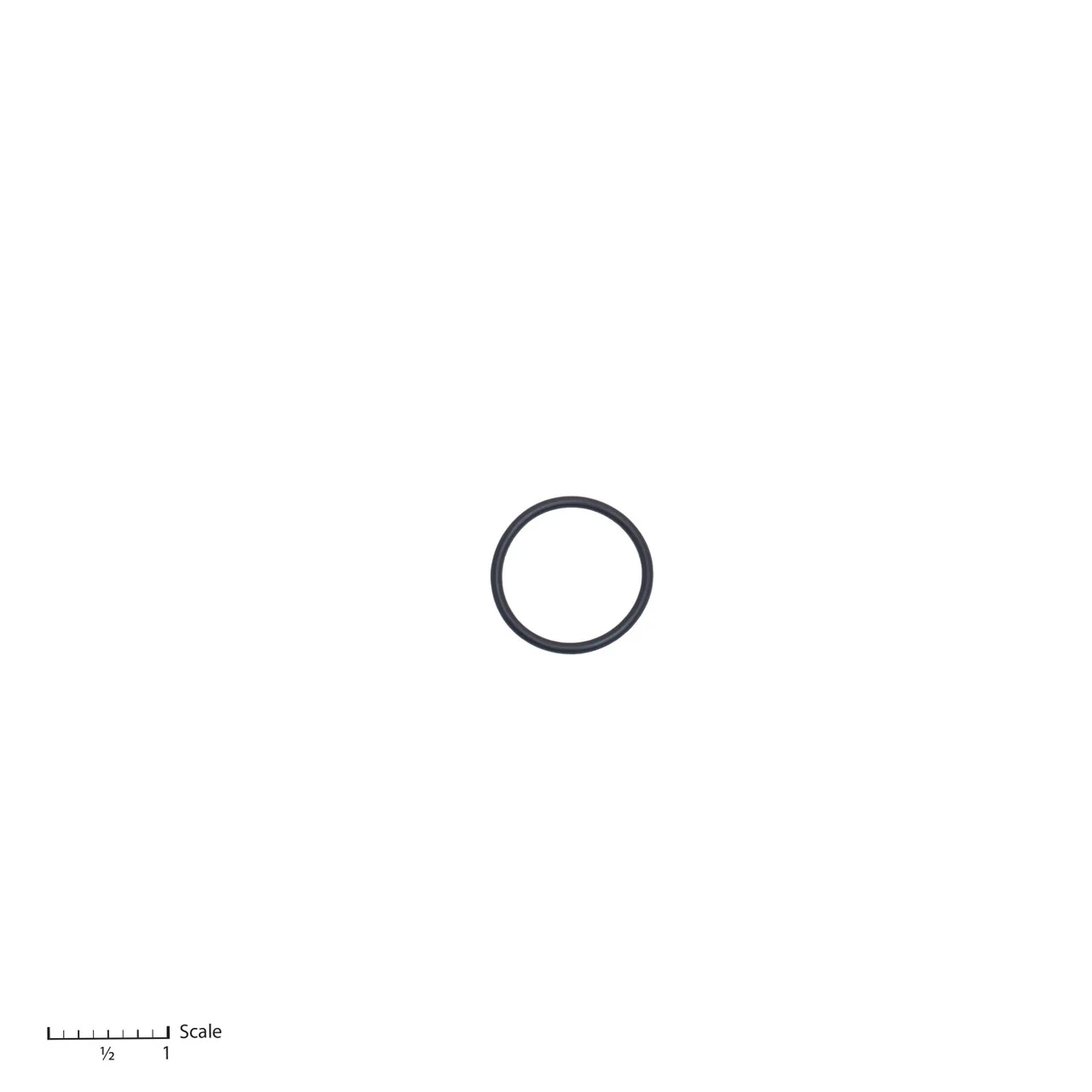 O-Ring