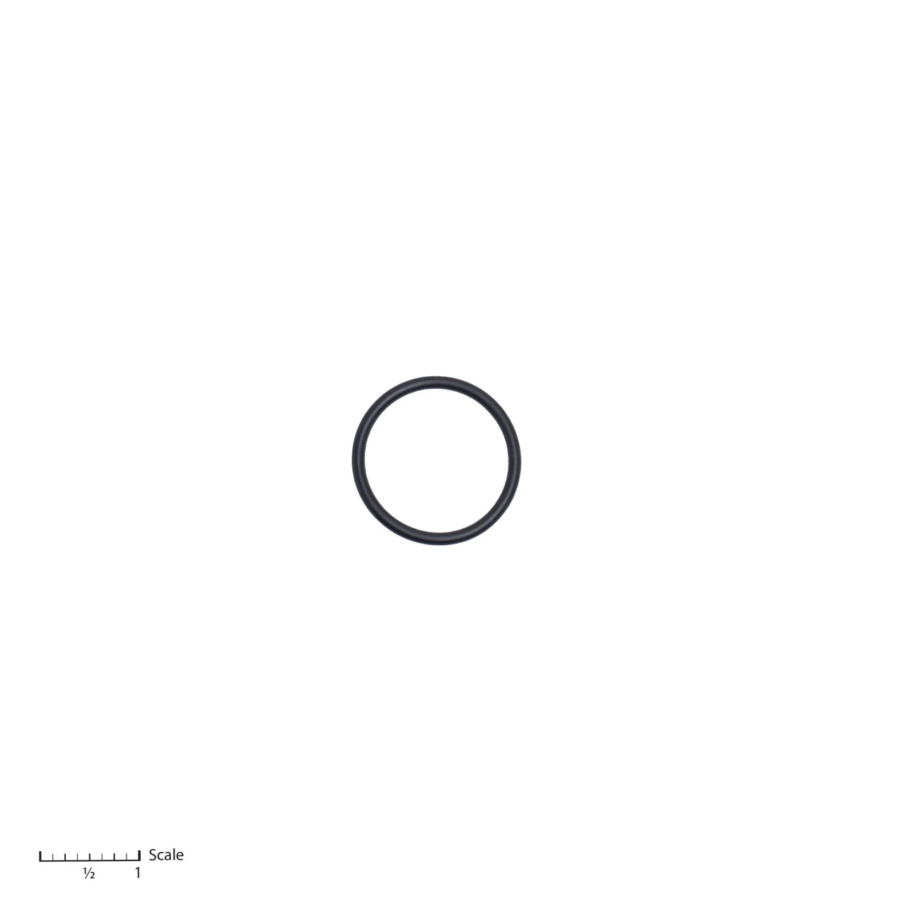 O-Ring