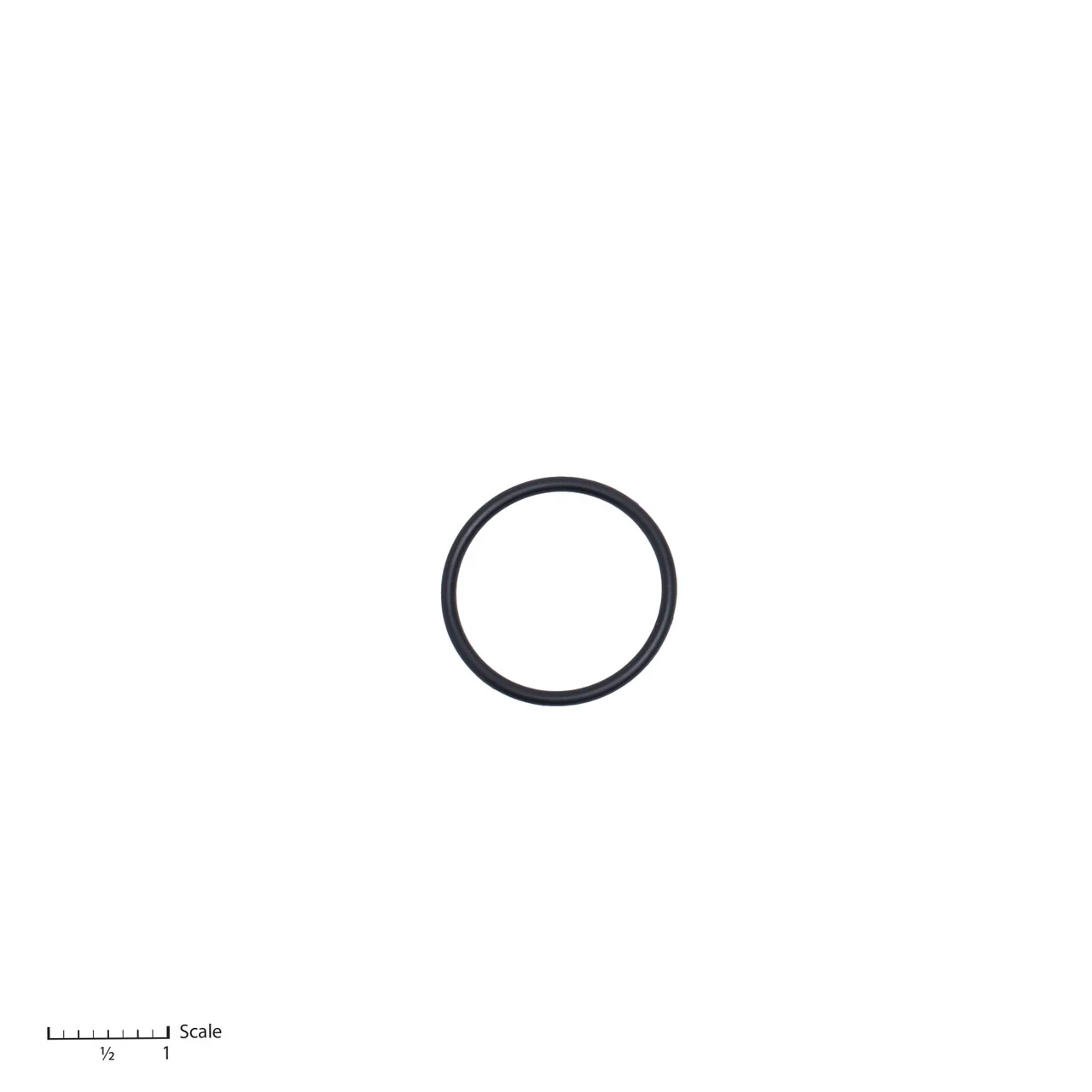 O-Ring