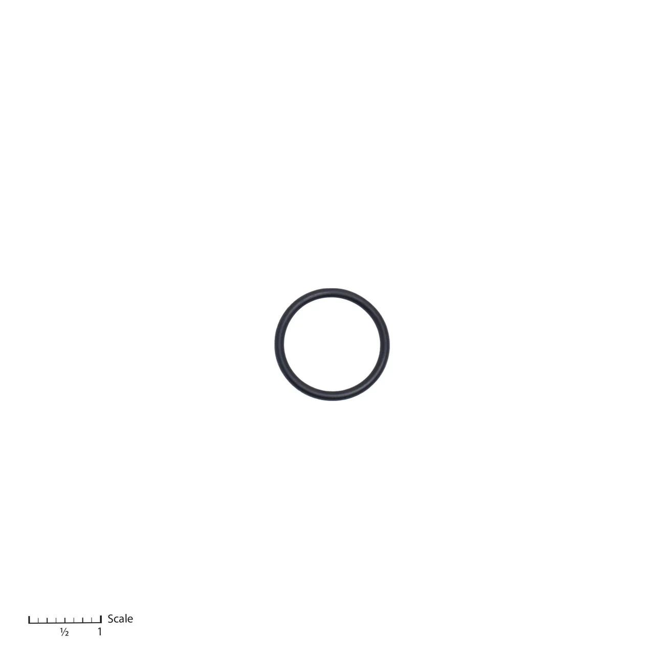 O-Ring