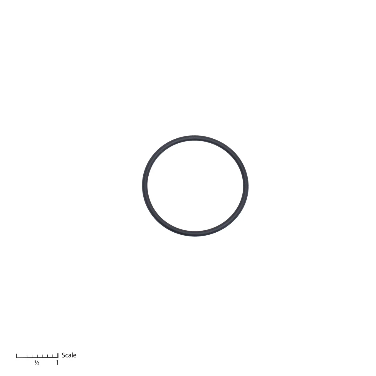 O-Ring