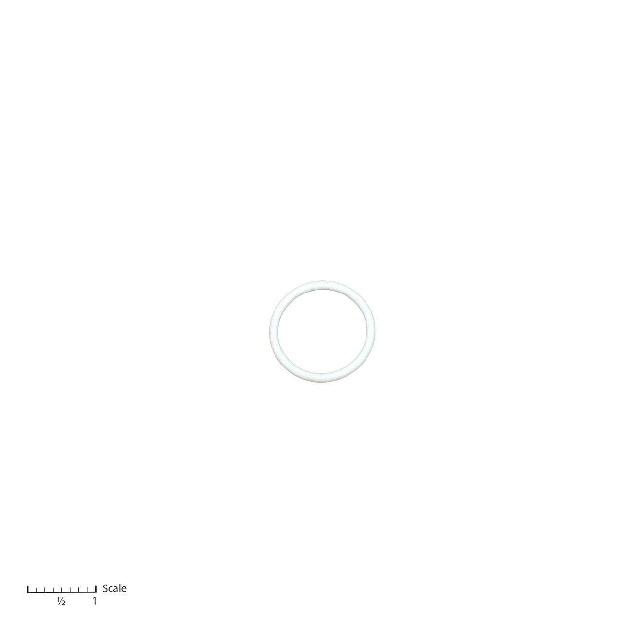 Teflon O-Ring
