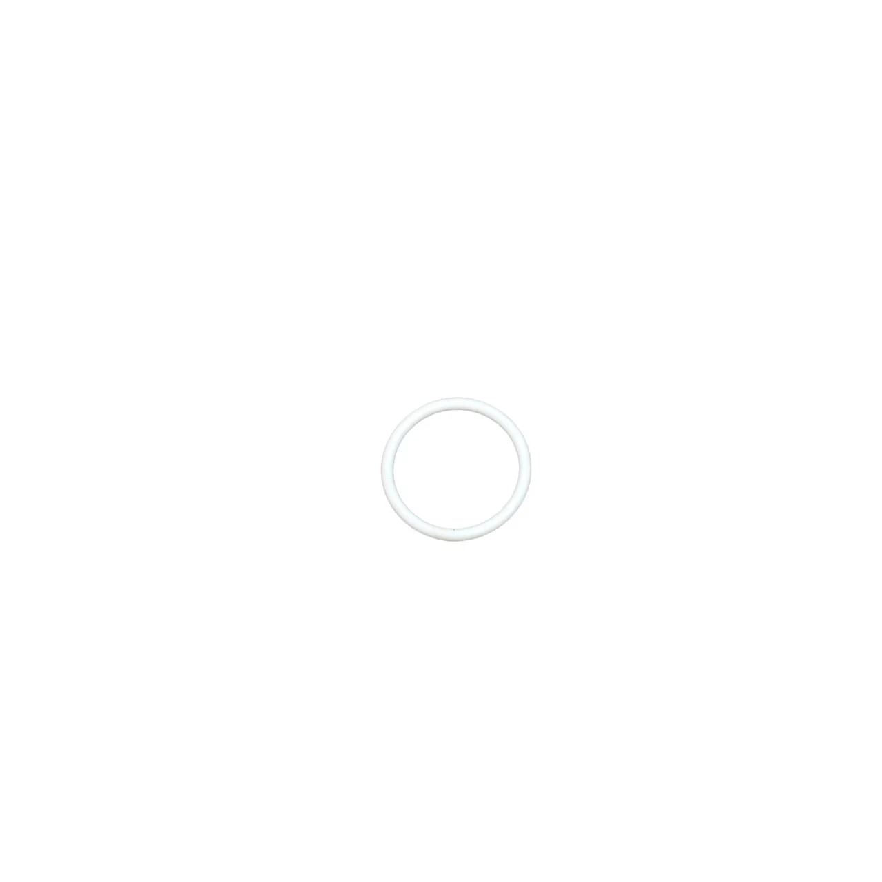 Teflon O-Ring - Image 2