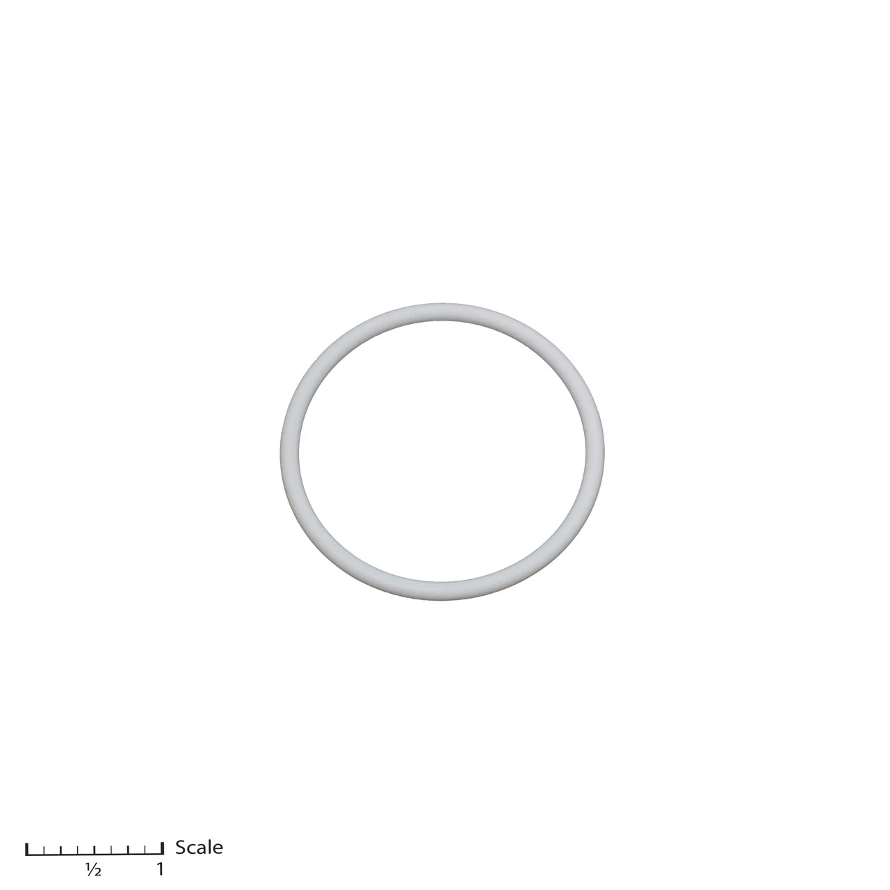 Teflon O-Ring