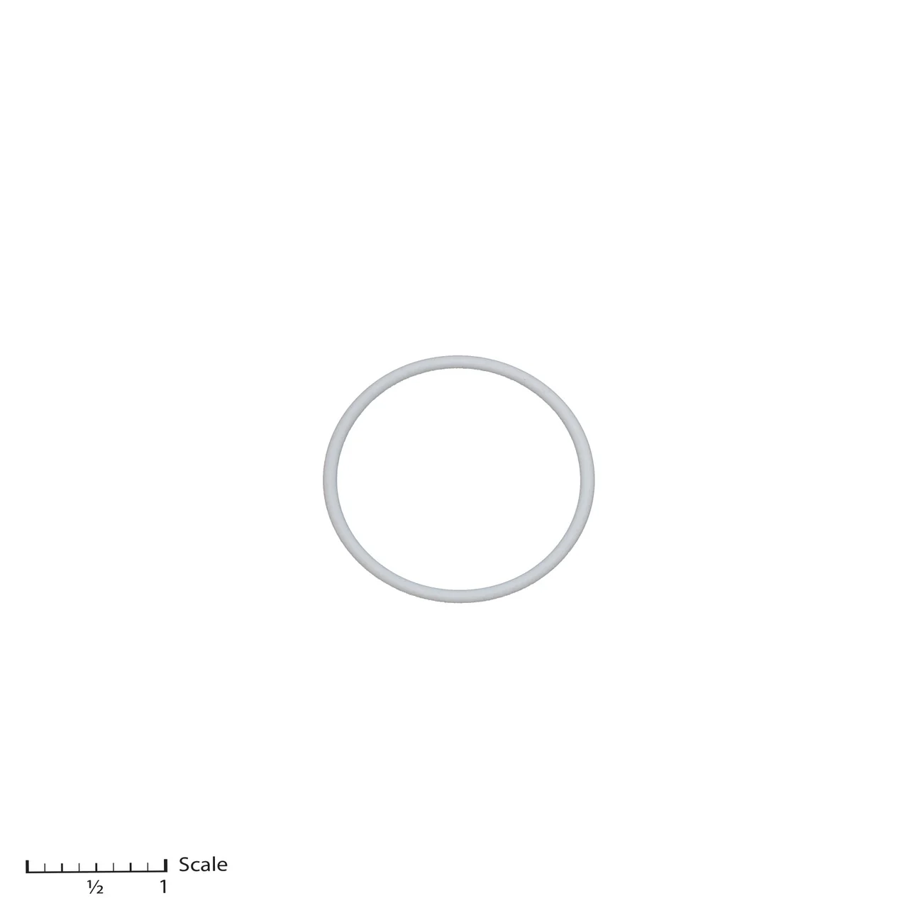 Teflon O-Ring