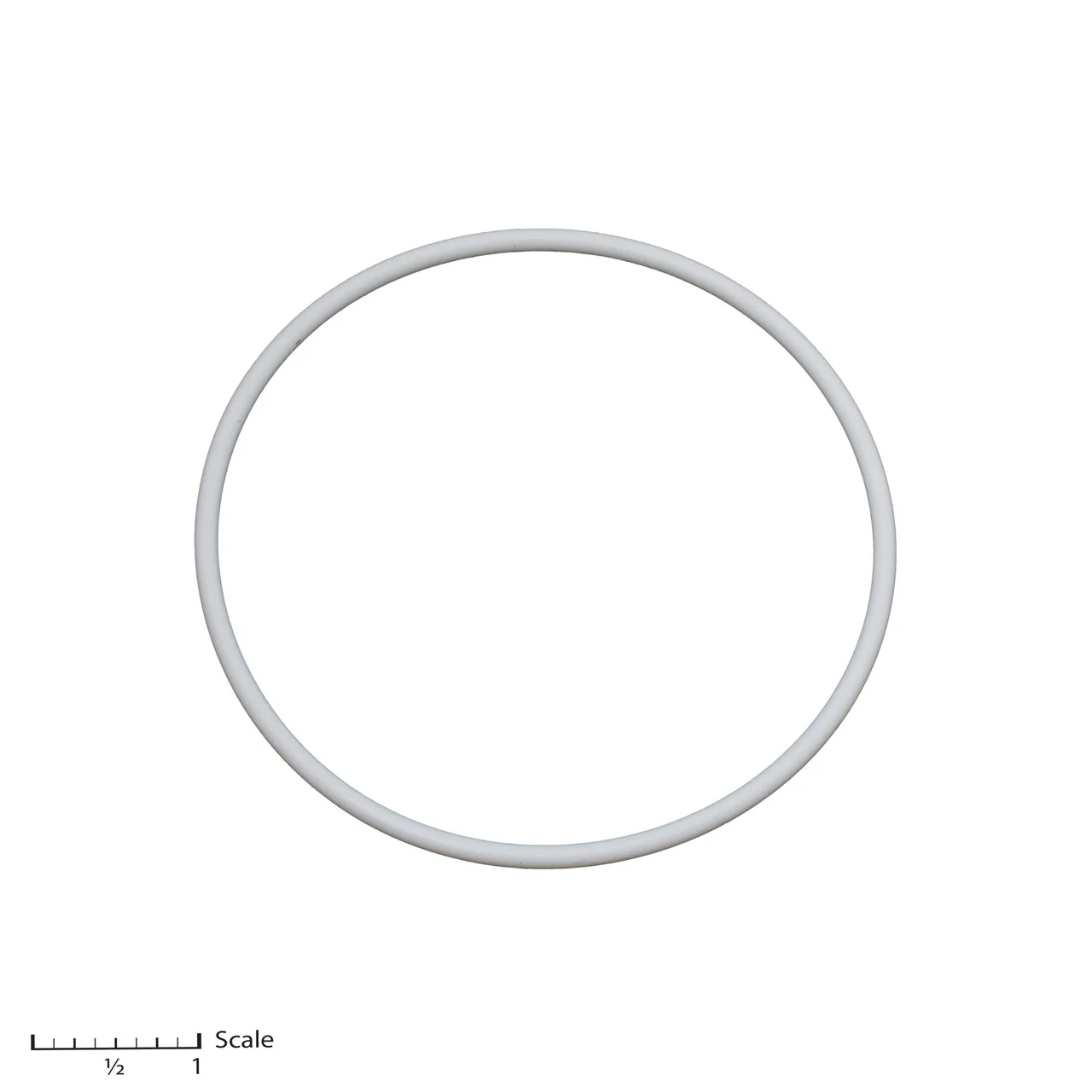 Teflon O-Ring