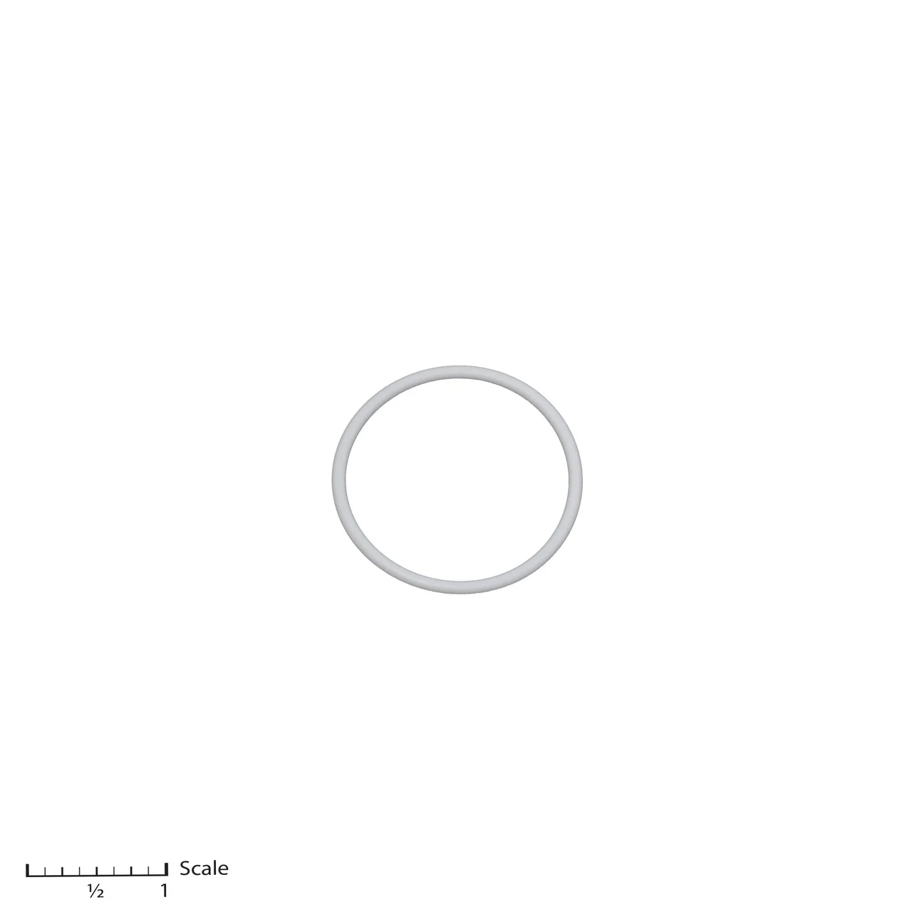 Teflon O-Ring