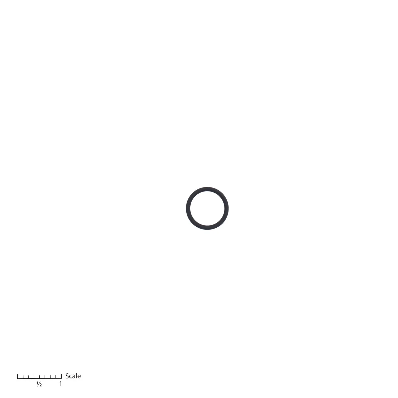 O-Ring