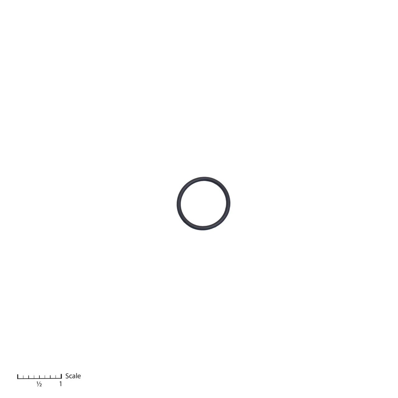 O-Ring