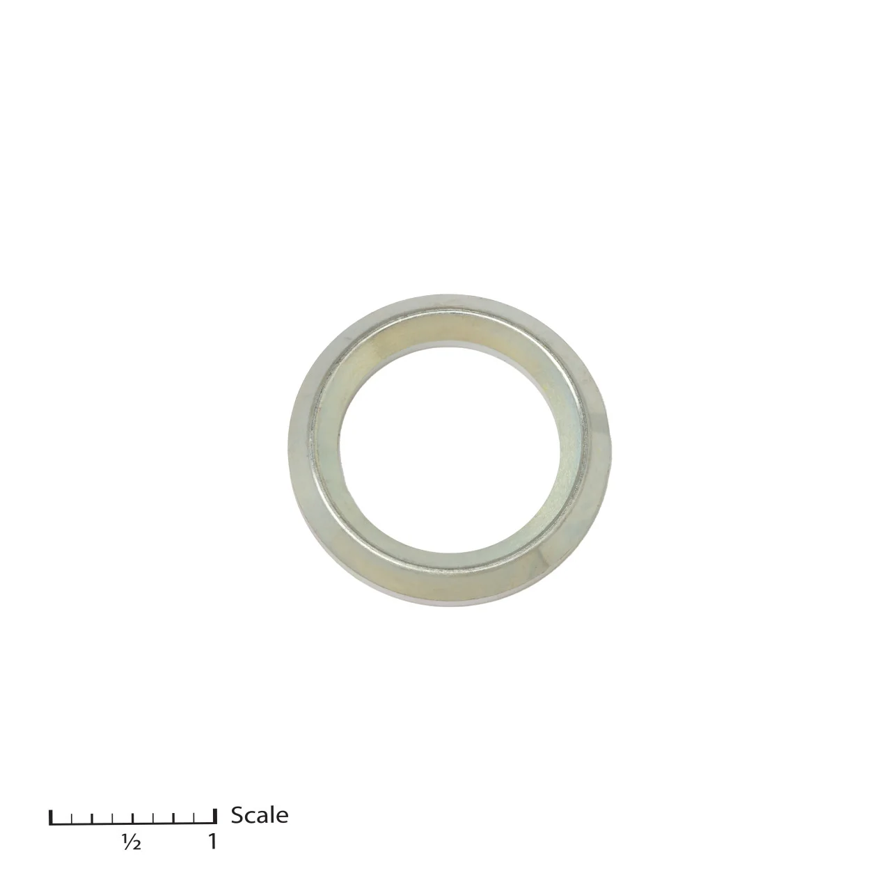 Male Gland (1 pc, order per gland)