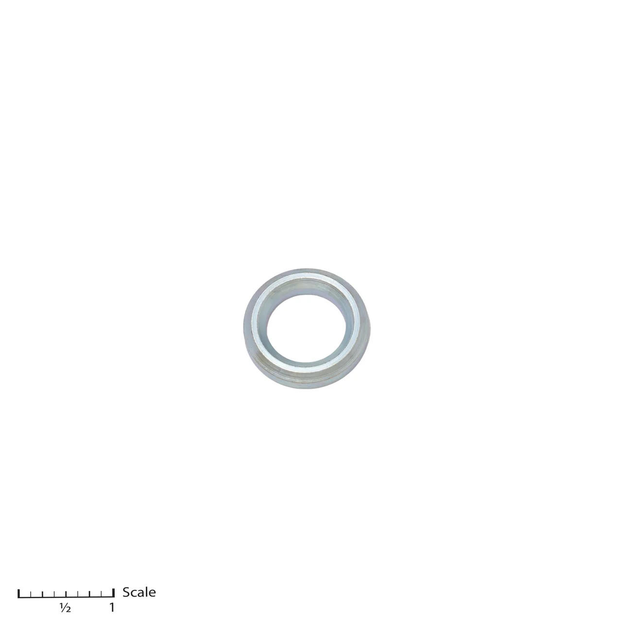 Male Gland