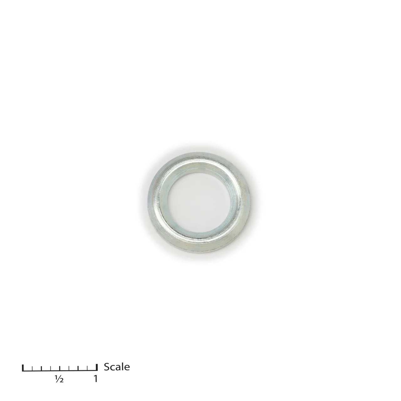 Male Gland