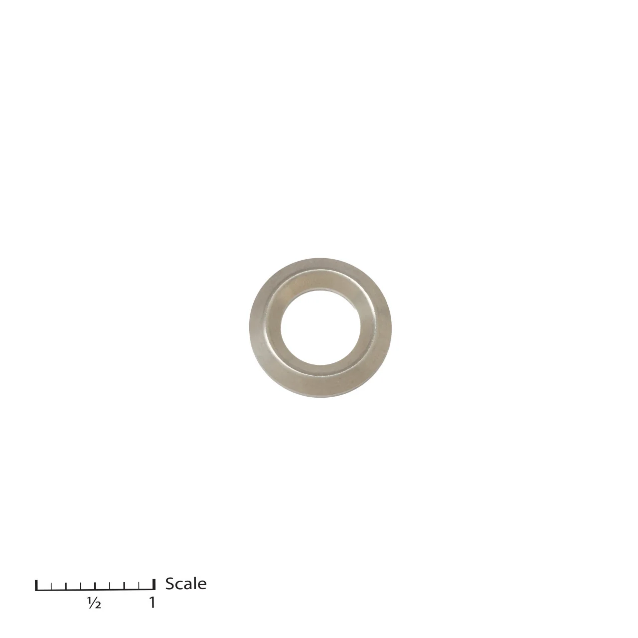 Male Gland