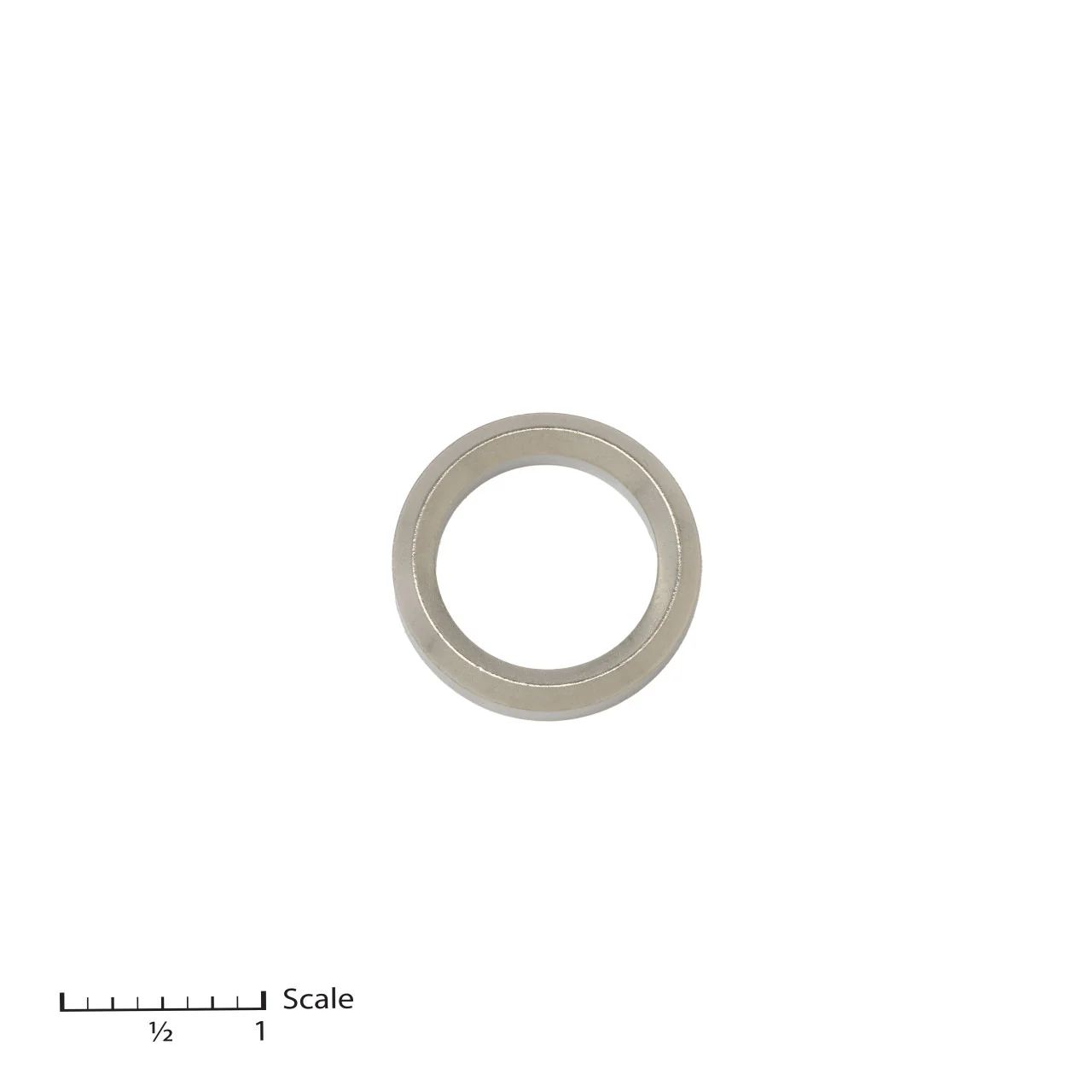 Male Gland