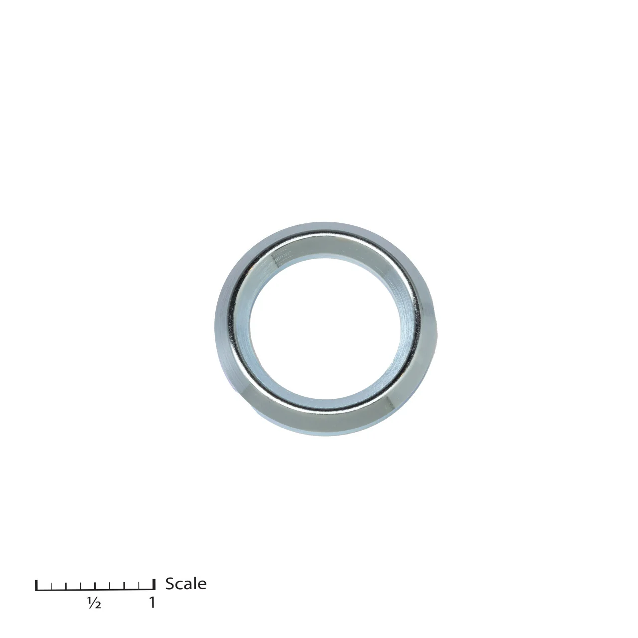 Male Gland