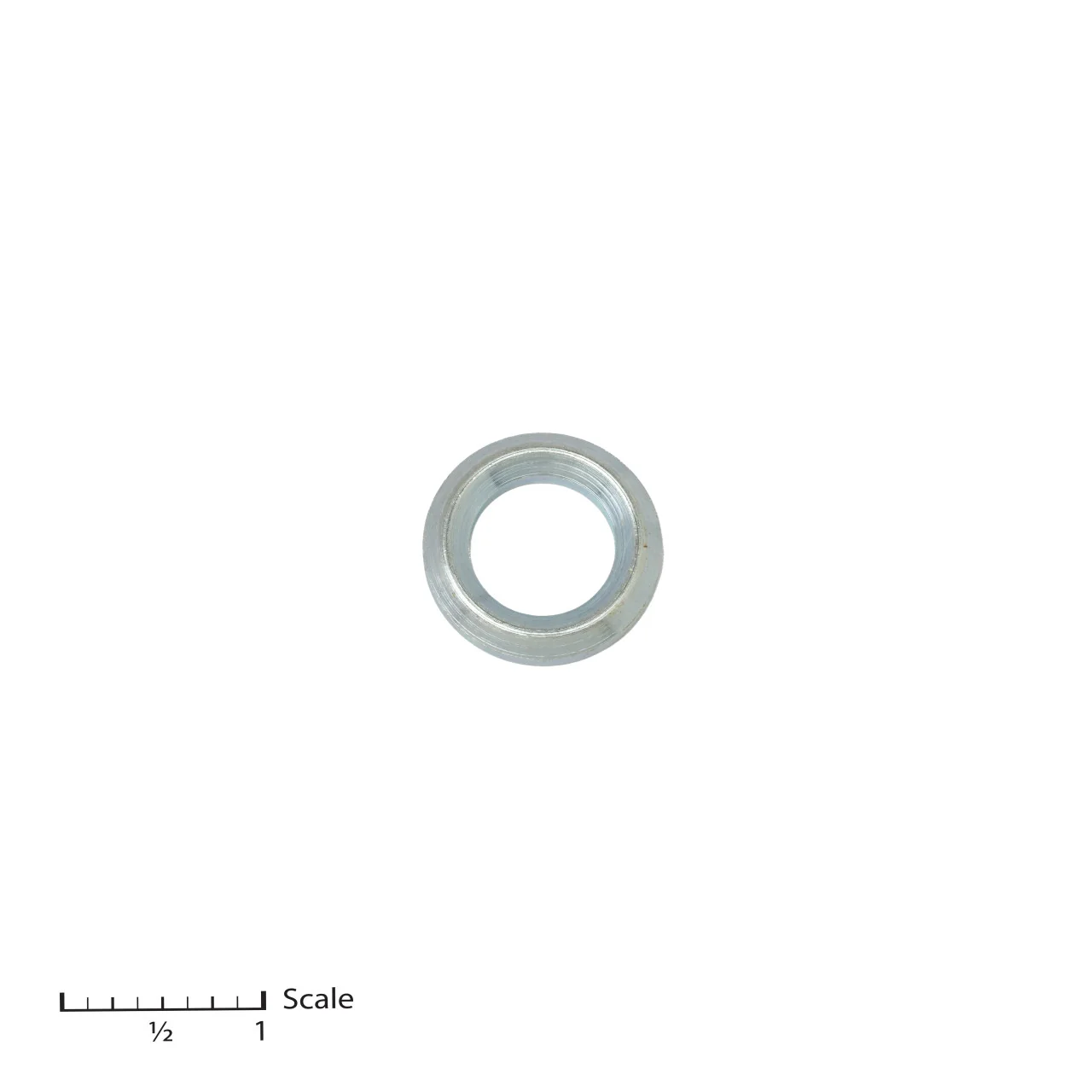 Male Gland