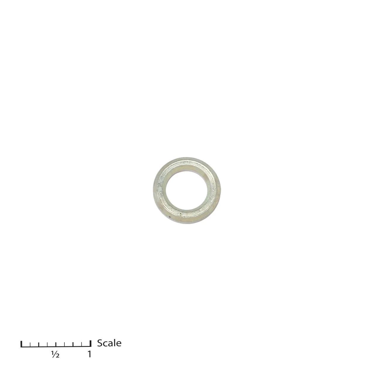 Male Gland