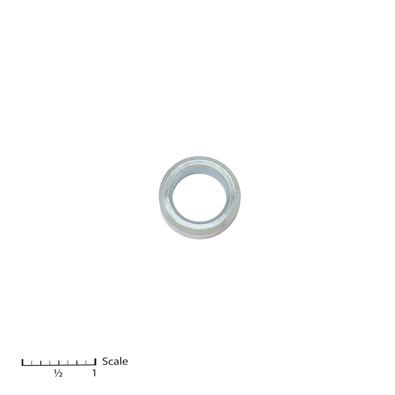 Male Gland