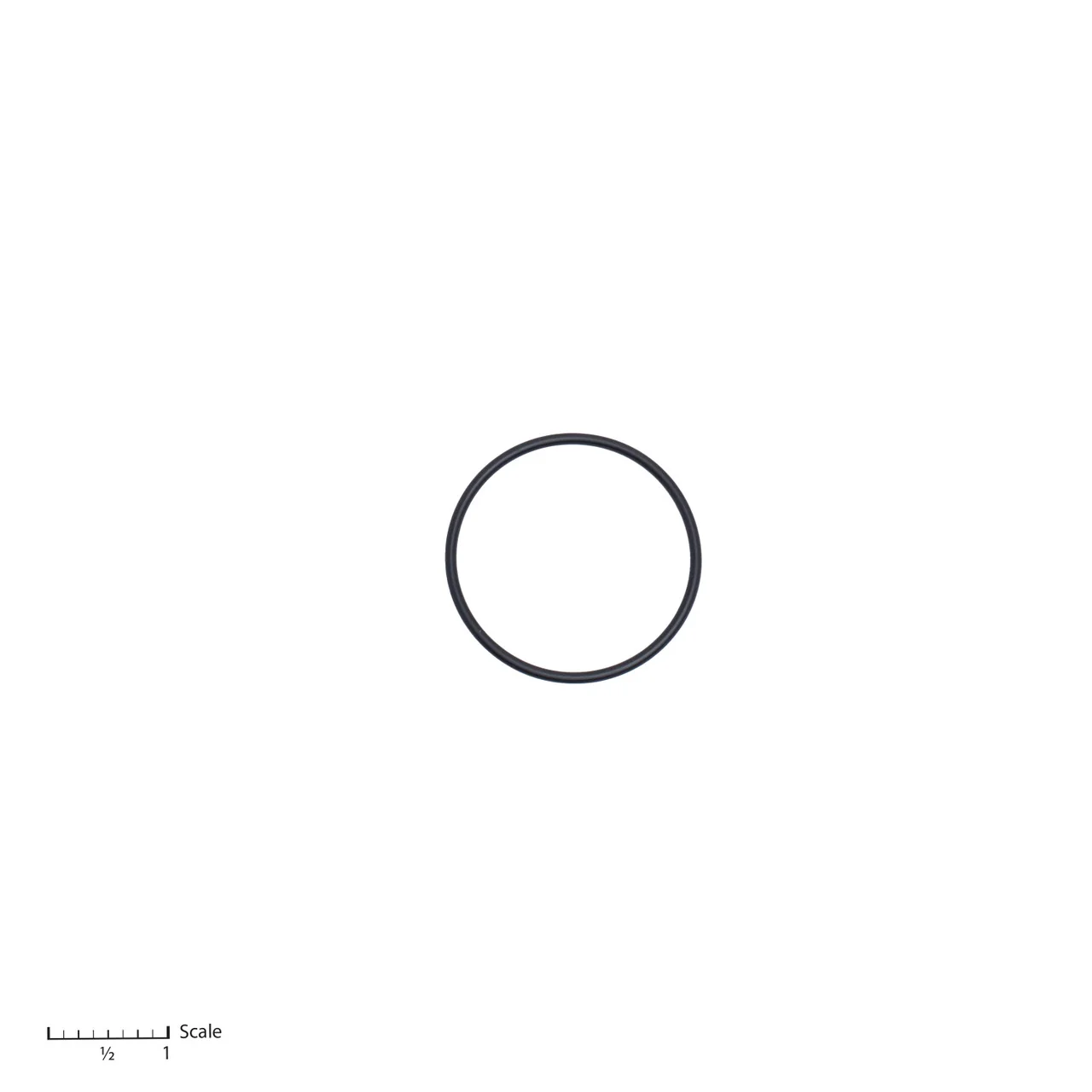 O-Ring