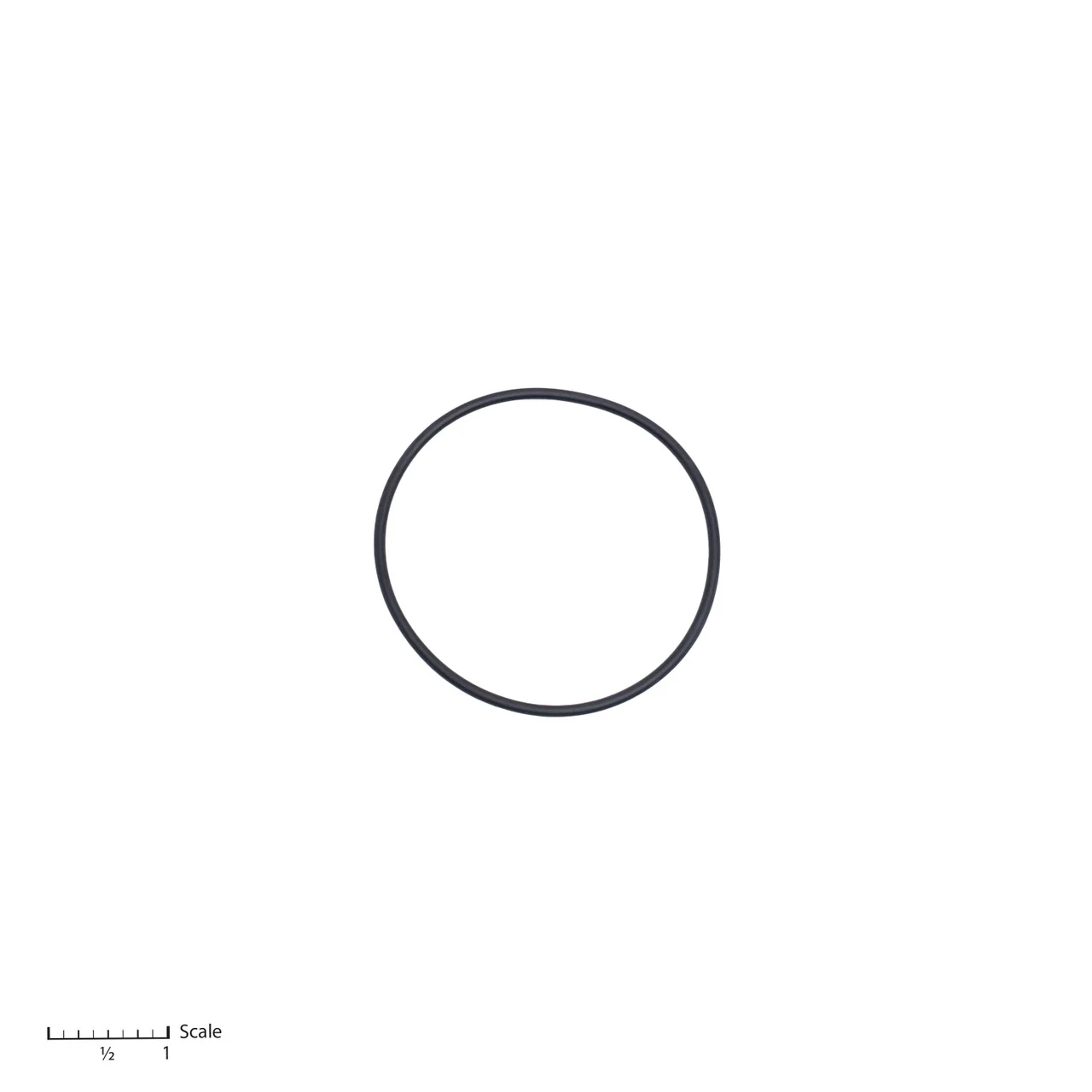 O-Ring