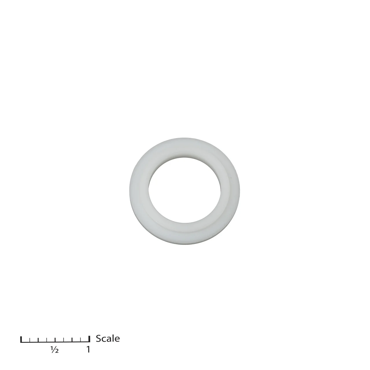 Pressure Ring, Male Gland