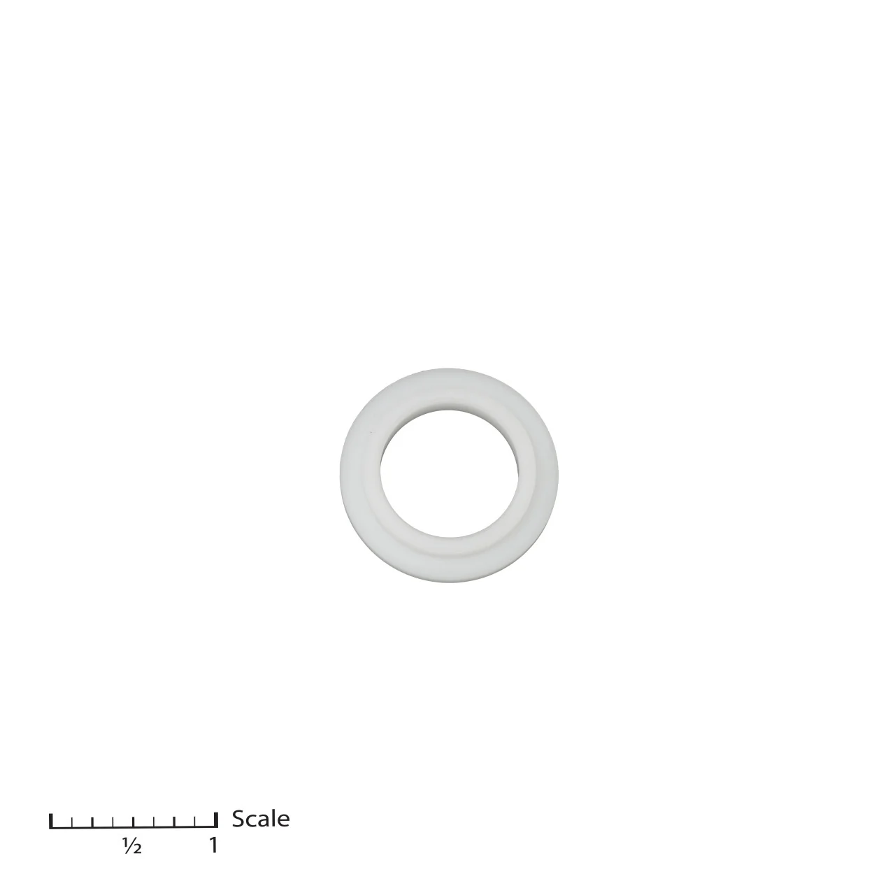 Pressure Ring, Male Gland