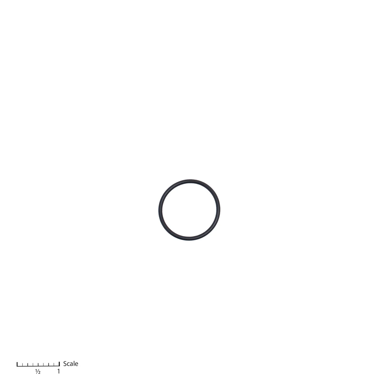 O-Ring
