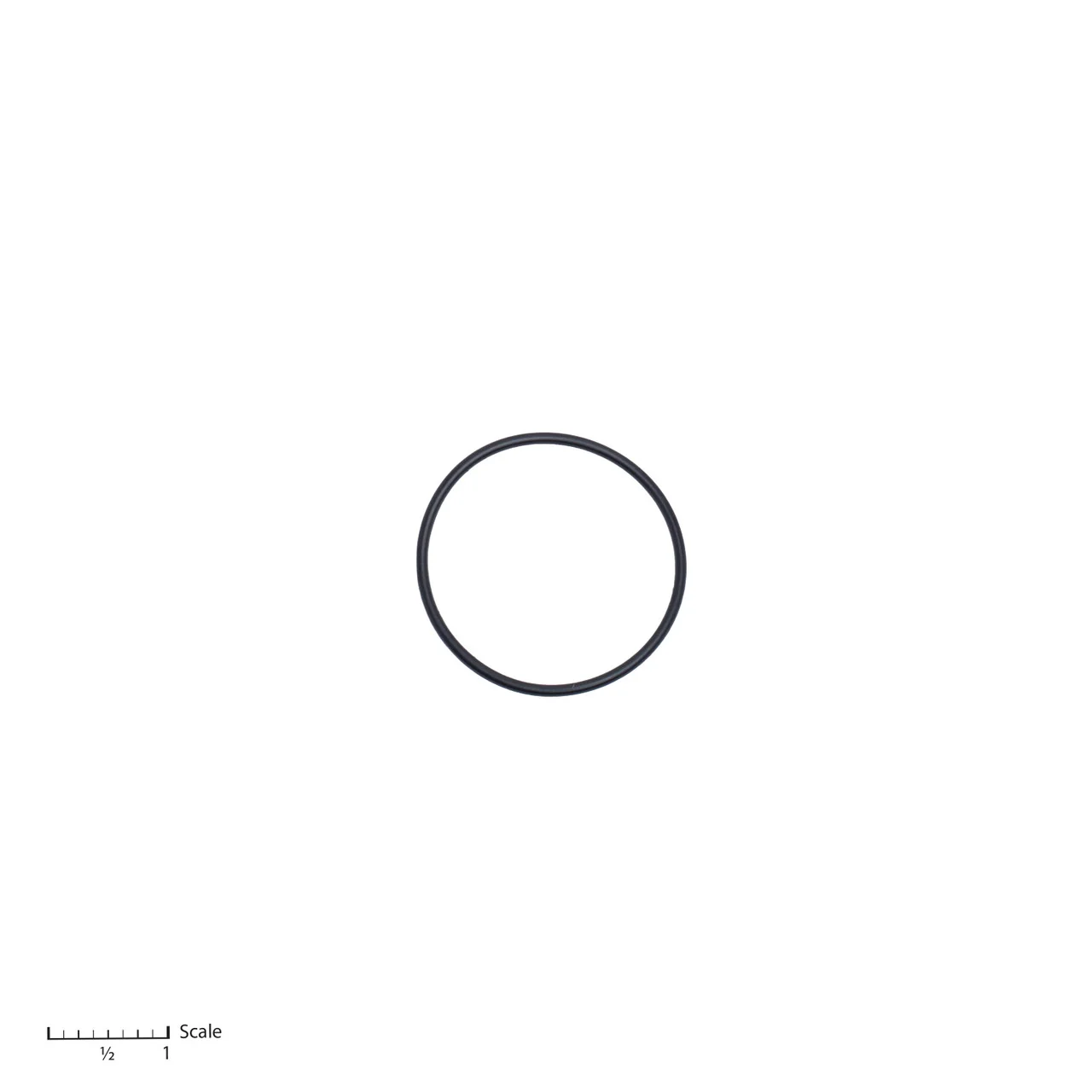 O-Ring