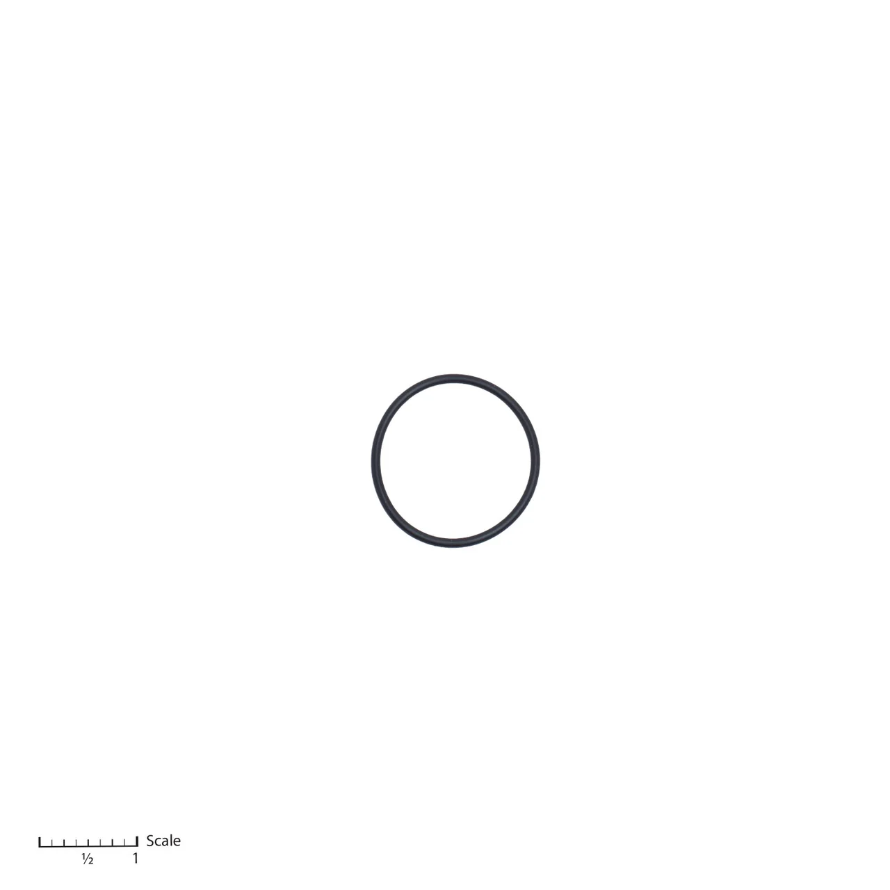 O-Ring