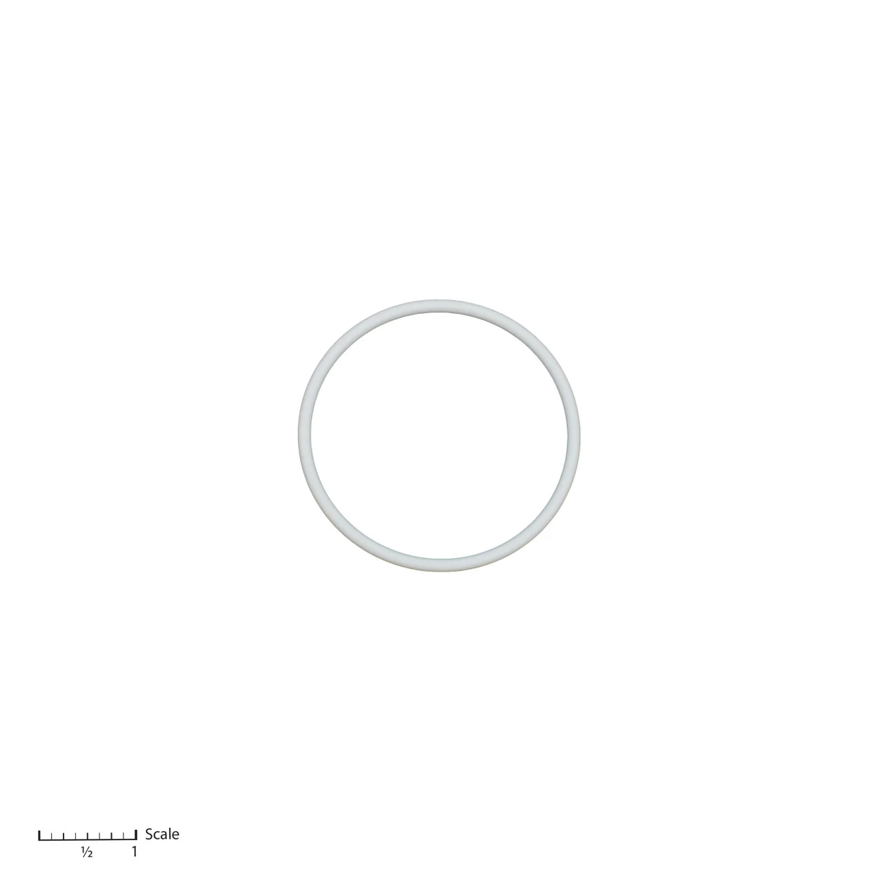 Teflon O-Ring